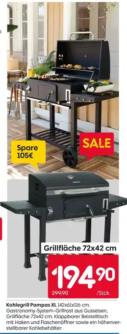 Rusta Kohlegrill pampas xl Angebot
