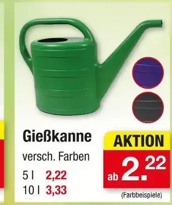 Zimmermann Gießkanne Angebot