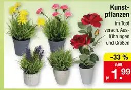 Zimmermann Kunstpflanzen Angebot