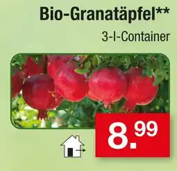Zimmermann Bio-granatapfel Angebot