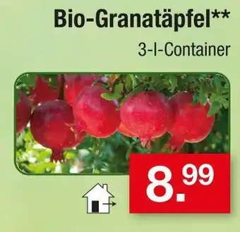 Zimmermann Bio-granatapfel Angebot