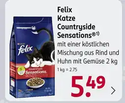 Rossmann Felix katze countryside sensations Angebot