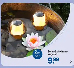 Rossmann Ideenwelt solar-schwimmkugeln Angebot
