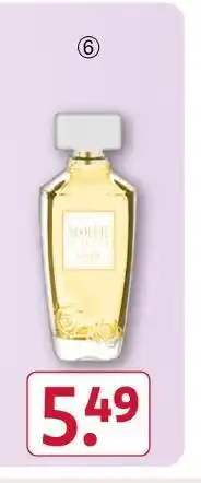 Rossmann Câline woman eau de parfum oder man eau de toilette Angebot