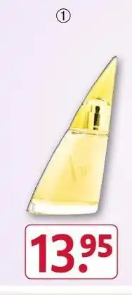 Rossmann Bruno banani woman oder man eau de toilette Angebot