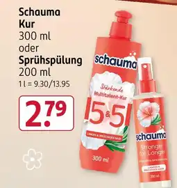 Rossmann Schauma kur Angebot
