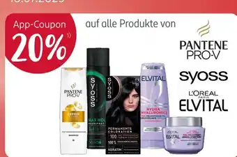 Rossmann 20% Angebot