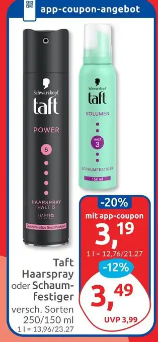 Budni Schwarzkopf taft haarspray Angebot