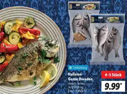 Lidl Italiamo Ganze Doraden Angebot