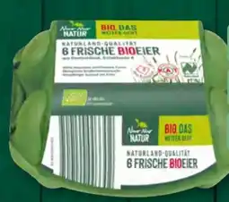 Aldi Süd Nur Natur Bio-Eier Angebot