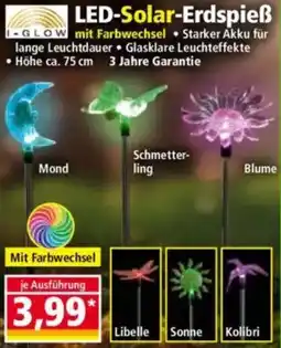 Norma I-GLOW LED-Solar-Erdspieß Angebot