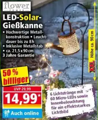 Norma Flower LED-Solar Gießkanne Angebot