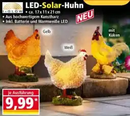 Norma I-GLOW LED-Solar-Huhn Angebot