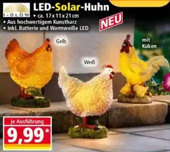Norma I-GLOW LED-Solar-Huhn Angebot