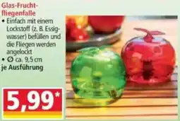 Norma Glas-Fruchtfliegenfalle Angebot