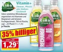 Norma Volvic Vitamin+ Angebot