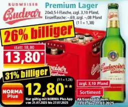Norma BUDWEISER Budvar Premium Lager Angebot