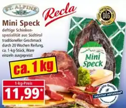 Norma ST. ALPINE Mini Speck Angebot