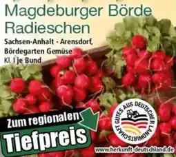 Norma Magdeburger Börde Radieschen Angebot