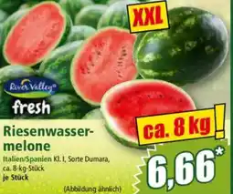 Norma River Valley fresh Riesenwassermelone Angebot