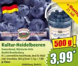 Norma Kultur-Heidelbeeren Angebot