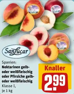 REWE SanLucar Nektarinen Angebot