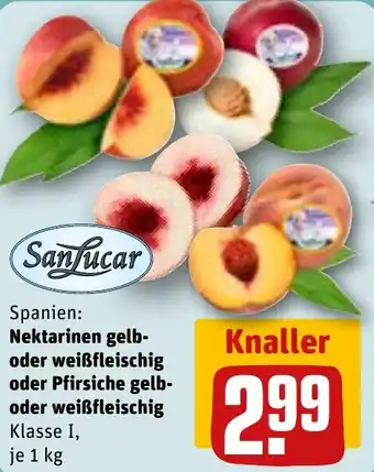 REWE SanLucar Nektarinen Angebot