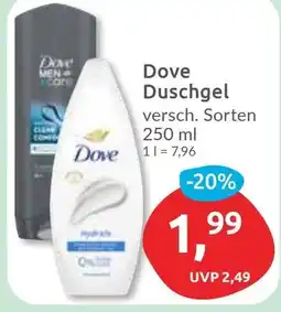 Budni Dove Duschgel Angebot