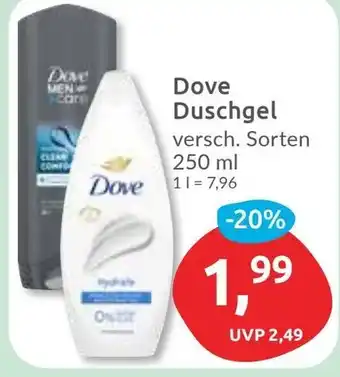 Budni Dove Duschgel Angebot