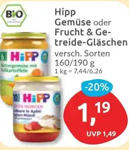 Budni Hipp Gemüse oder Frucht & Getreide-Gläschen Angebot