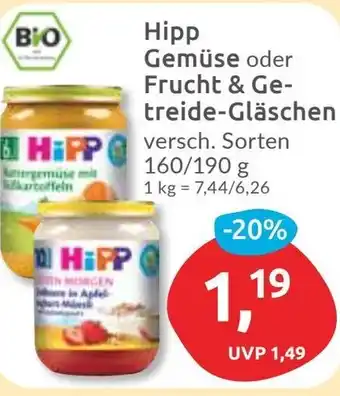 Budni Hipp Gemüse oder Frucht & Getreide-Gläschen Angebot