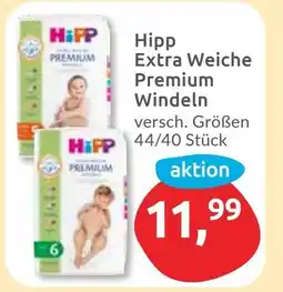 Budni Hipp Extra Weiche Premium Windeln Angebot