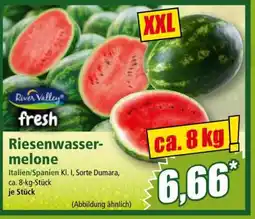 Norma Riesenwassermelone Angebot