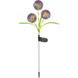 toom Baumarkt toom Solarspieß lila/grün 74 cm Angebot