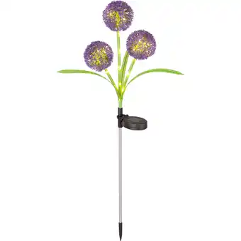 toom Baumarkt toom Solarspieß lila/grün 74 cm Angebot