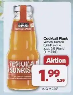 Famila Nord Ost Cocktail Plant Tequila Sunrise Angebot