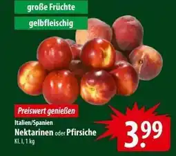 Famila Nord Ost Nektarinen oder Pfirsiche Angebot