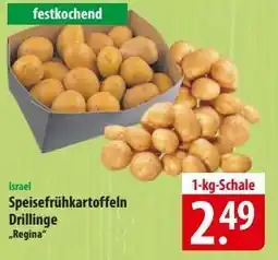 Famila Nord Ost Speisefrühkartoffeln Drillinge 'Regina' Angebot