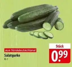 Famila Nord Ost Salatgurke Angebot