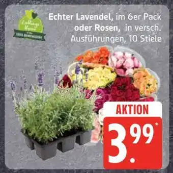 Edeka Echter Lavendel oder Rosen Angebot