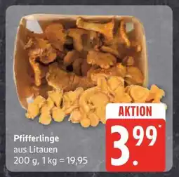 Edeka Pfifferlinge Angebot