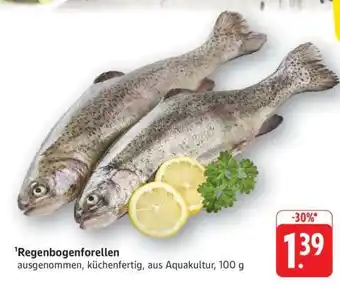 Edeka Regenbogenforellen Angebot