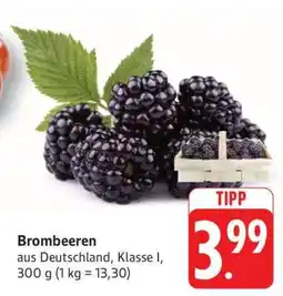 Edeka Brombeeren Angebot