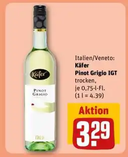 REWE Käfer Pinot Grigio IGT Angebot