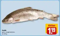 REWE Forelle Angebot