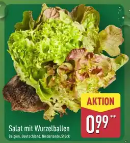 Aldi Nord Salat mit Wurzelballen Angebot