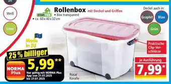 Norma Rollenbox Angebot