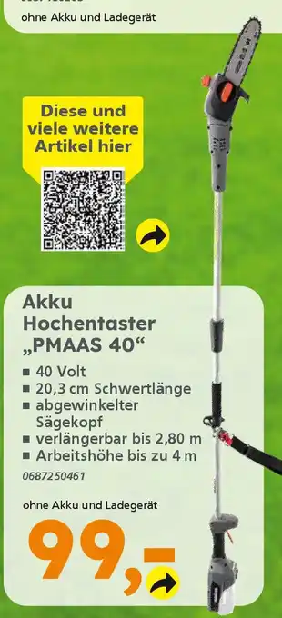 Globus Baumarkt PRIMASTER Akku Hochentaster ,PMAAS 40" Angebot