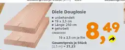 Globus Baumarkt Diele Douglasie Angebot