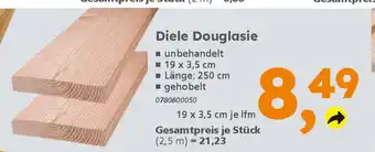 Globus Baumarkt Diele Douglasie Angebot